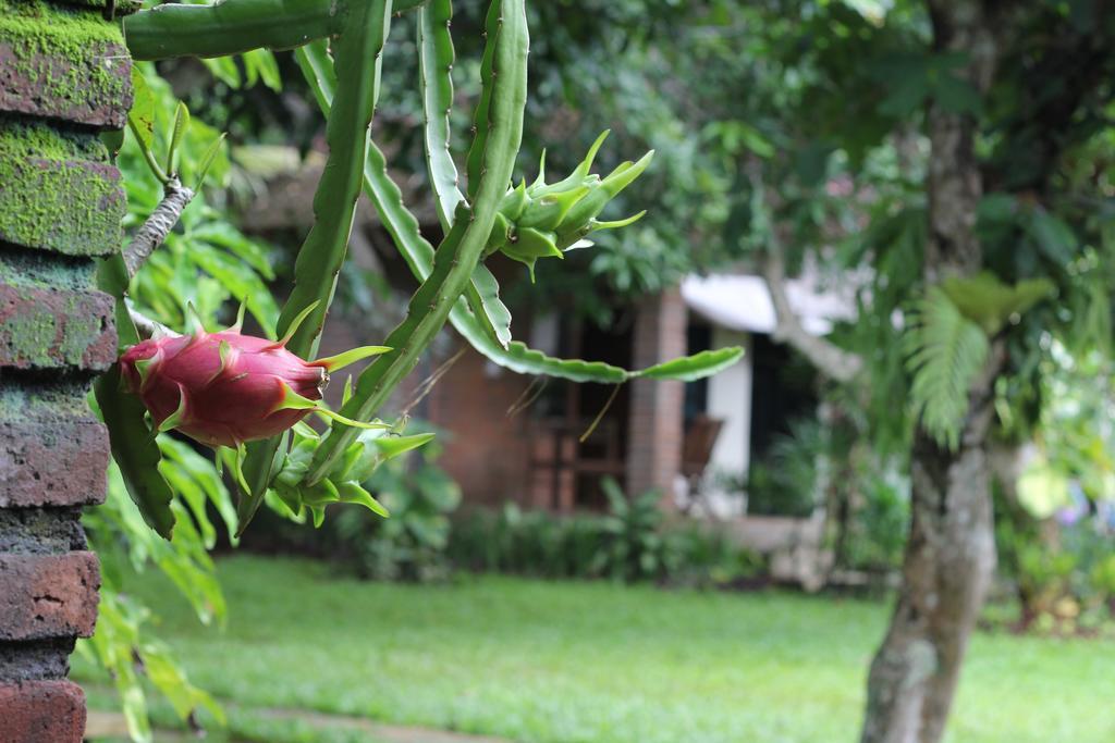 Timbis Homestay Bali Nusa Dua  Exteriér fotografie